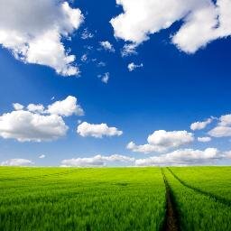 O sucesso é ir de fracasso em fracasso sem perder entusiasmo.