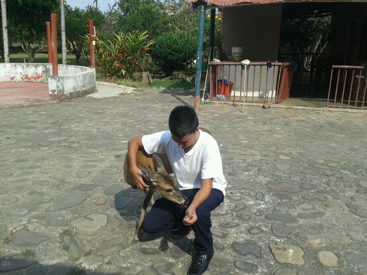 Jscc97's profile picture. B\