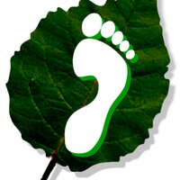 BeGreen Dalry (@rangerpetedalry) 's Twitter Profile