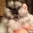 FraVegan retweeted this