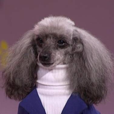 kateykateykatey's profile picture. my friend thought it would be funny if i tweeted all the stupid and funny things i say. they were wrong. 

all opinions are my own.  

no terfs/swerfs/scrubs.