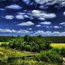 Darío Vera - @InfoMedAmb - Twitter