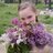 9047616's profile image