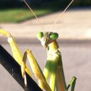 John Swords - @Swordsy100 - Twitter