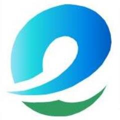 Expert in metal foams and nanomaterials for energy, environmental and electronics applications