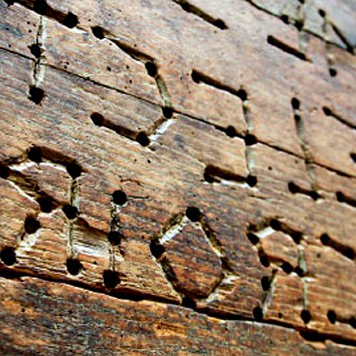 Away_gonzalez's profile picture. 