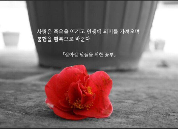 모순되는 이야기의 공간