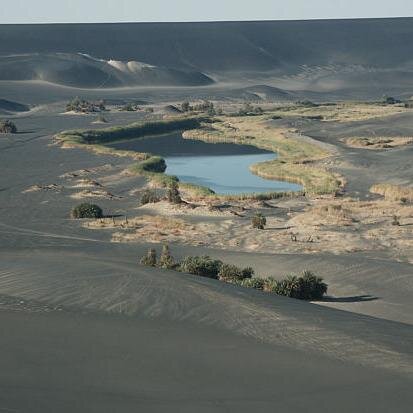 yousefzaroug's profile picture. 