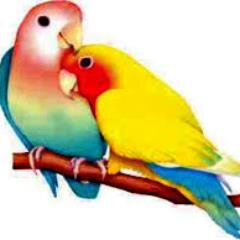 http://t.co/JT4LiW9LnG
