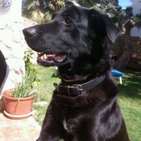 Leyend (@leyend) 's Twitter Profile