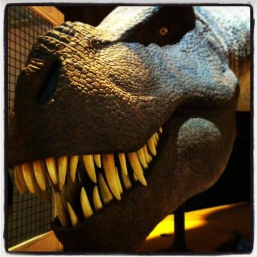 Rex le Trex