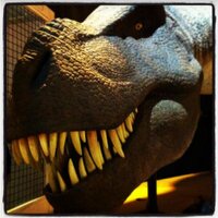 Rex le Trex (@rexletrex) 's Twitter Profile