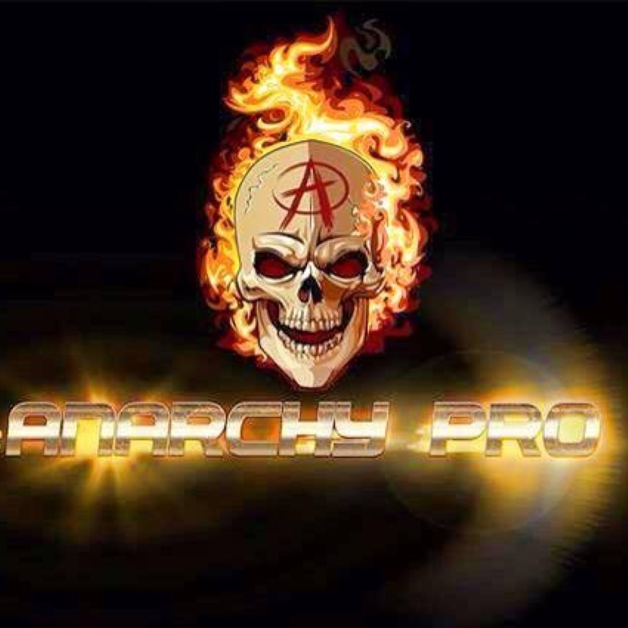 AnarchyPro's profile picture. Official Twitter Of AnarchyPro Wrestling     Stream Free Webisodes of Internet Beatdown @ https://t.co/kueodDxGfS  Anarchy Rising VI 8/27 Berwyn Eagles Club