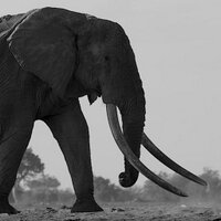 Victoria Stone (@vickystonefilm) 's Twitter Profile