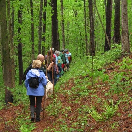 Stakeholder group of volunteers with a common interest in improving, promoting and protecting the Choccolocco Creek Watershed.