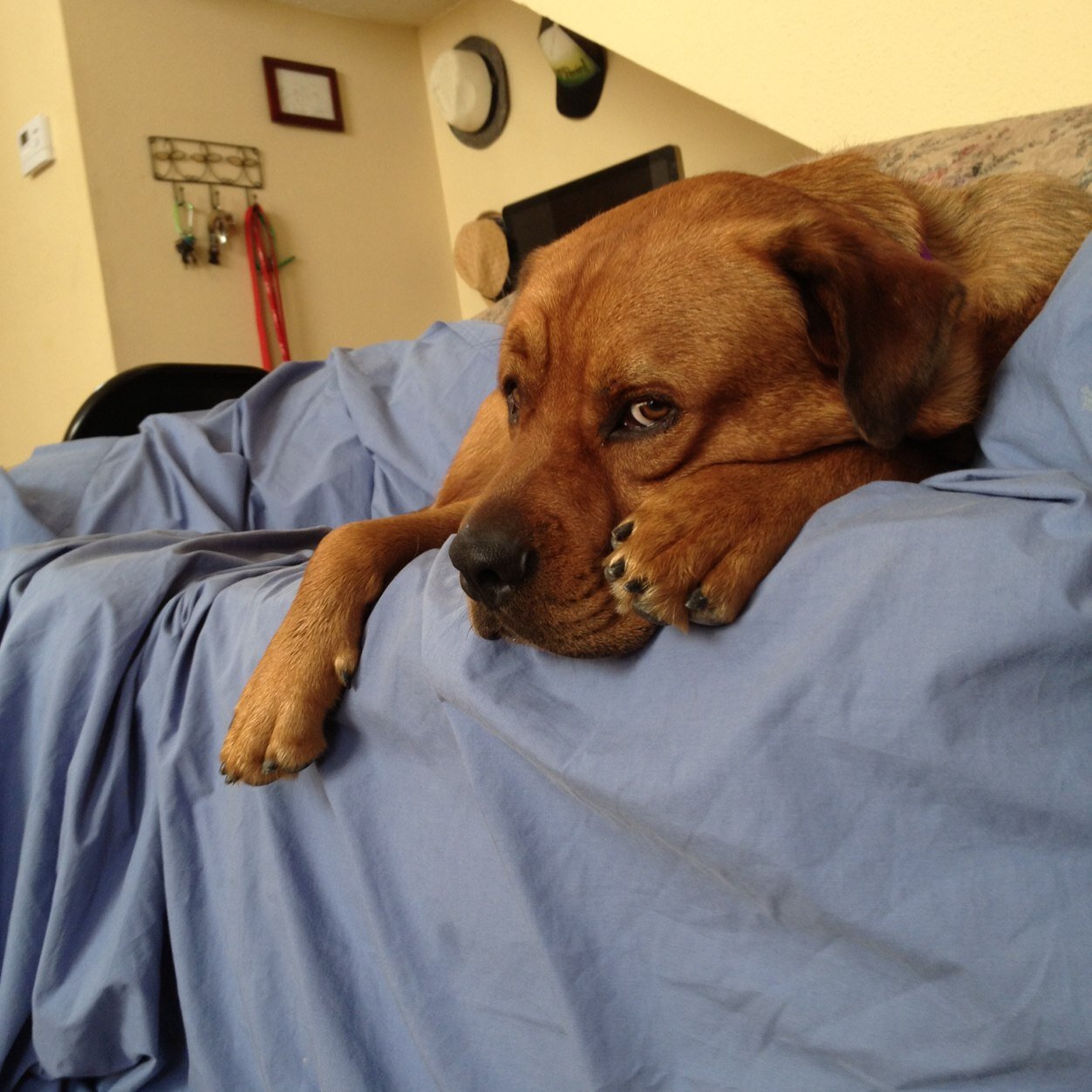 curtissmiles's profile picture. 