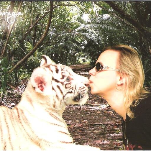 CathiDecker's profile picture. Executive Director at Santa Ana Zoo, California.