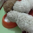 Macarena - @MacarenaMora11 - Twitter