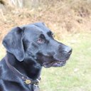 Nigel Cross - @CrossNigel - Twitter