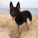 Amber Cartwright - @IBeLovingYou - Twitter