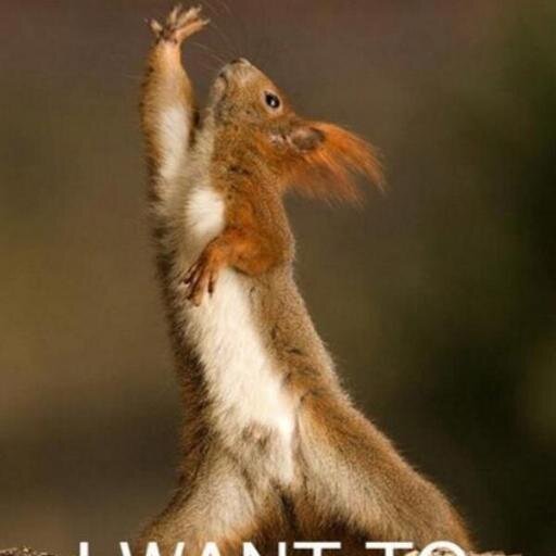 vc_lv's profile picture. 