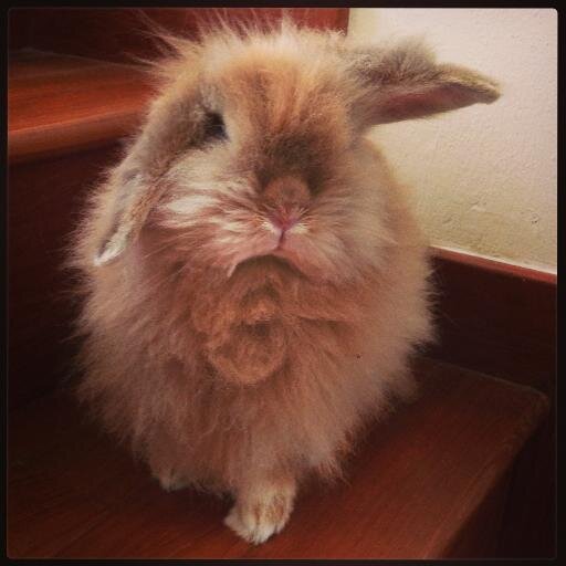 _emmajoy's profile picture. 