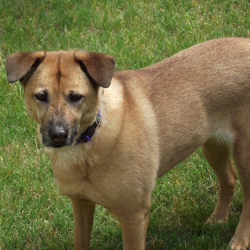 FreddieRoss's profile picture. I'm a Christian, husband, father, I love anything from fishing and landscaping!!