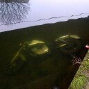 Joseph Grigg - @UKTravel2014 - Twitter