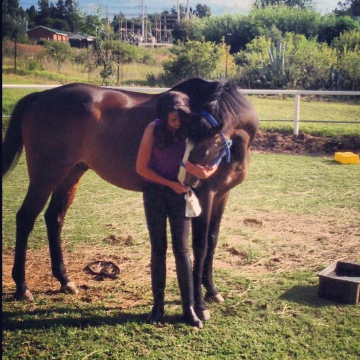 just an ordanairy rider with an extraordanairy horse and big dreams❤️ liberty✨dressage & tricktraining