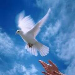 Peace and Love.