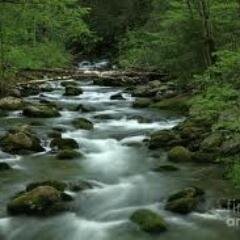 Oliver_Graver's profile picture. My name is Oliver Graver.  I have been counseling people for years and have a Master of Social Work degree.  I hope these ideas  will be helpfull