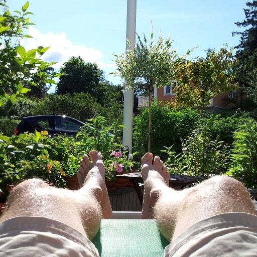 rogrei's profile picture. 