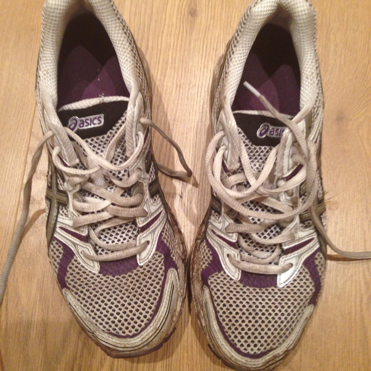 CharlotteConne4's profile picture. 