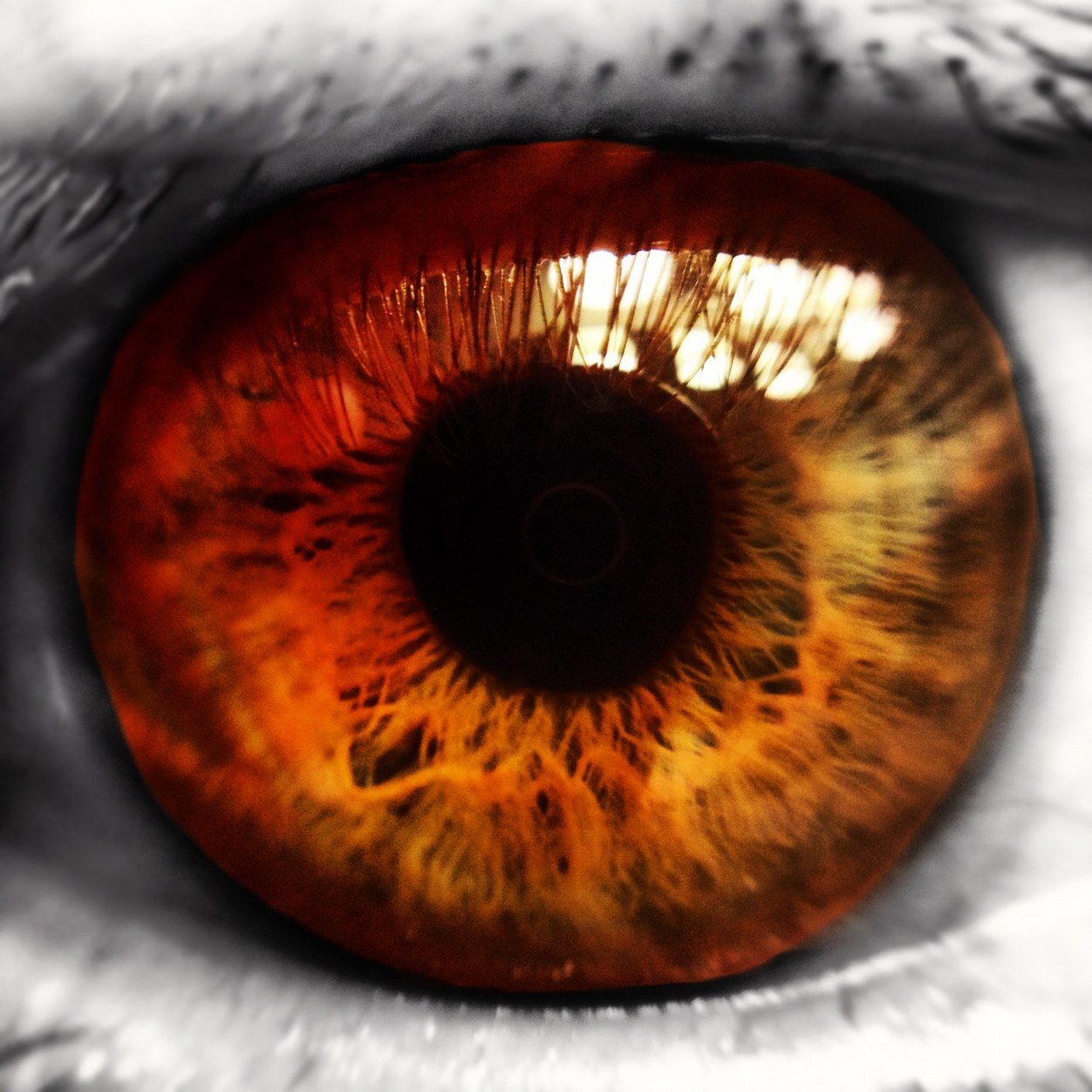 ThirdEyePics_'s profile picture. Trying to Educate the world