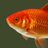 cellshow's profile image