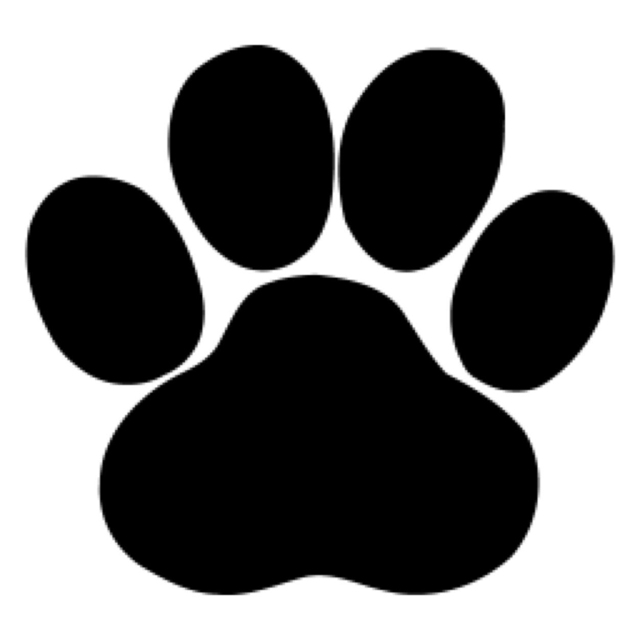 CuteDogs8's profile picture. Follow @adorbpets