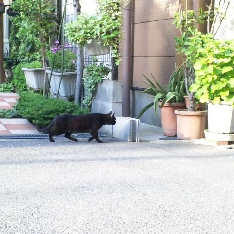 一歩一歩
