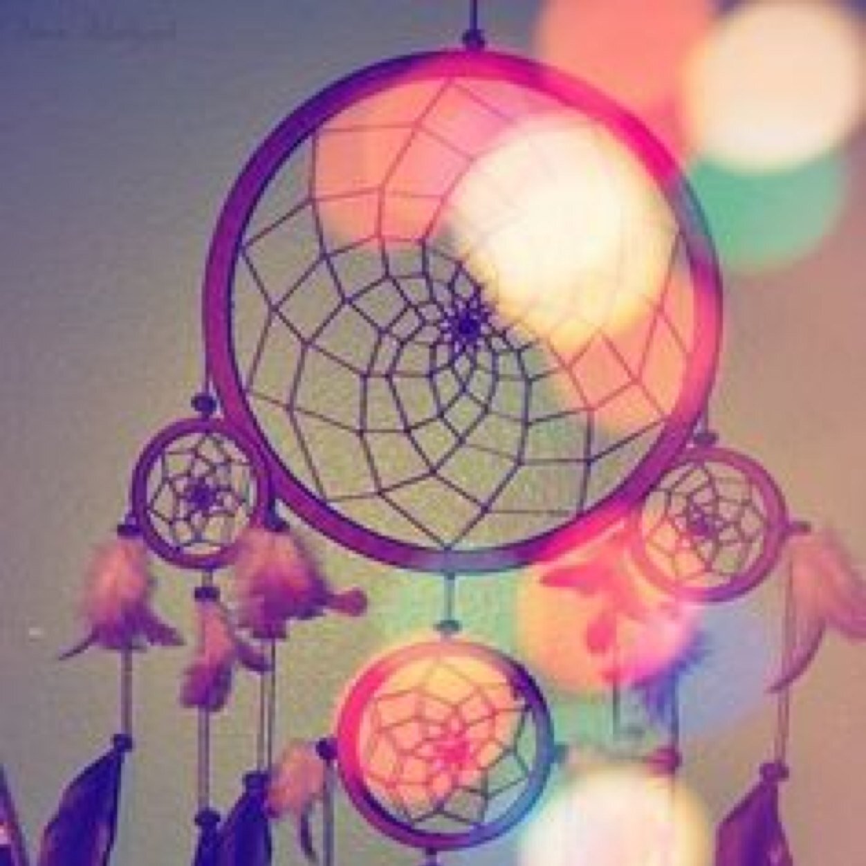 KacieDanielle5's profile picture. Hai Guys!
Youtube- KacieandTiaRock
Facebook- Kacie Danielle
Instagram- just_girly_scene and girly_scene_lover
Twitter- YOUR LOOKIN AT IT