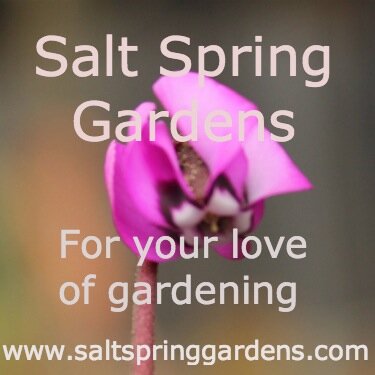 Celebrate your love of gardens and gardening. Plant profiles, photographs and information.