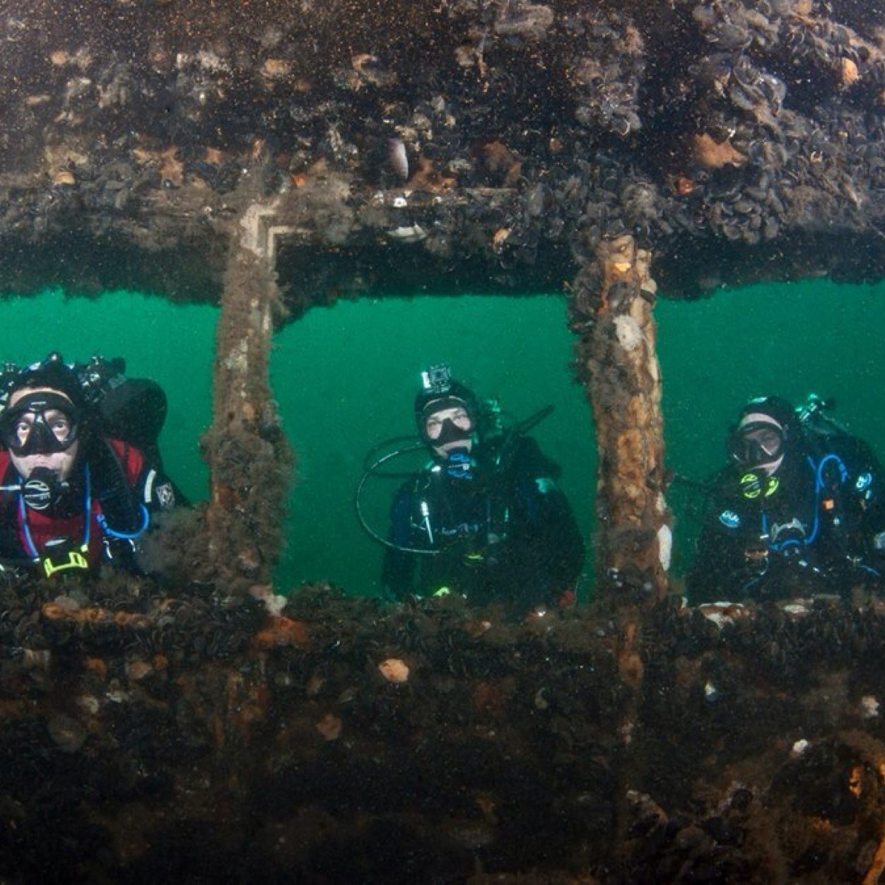 RG5528's profile picture. 