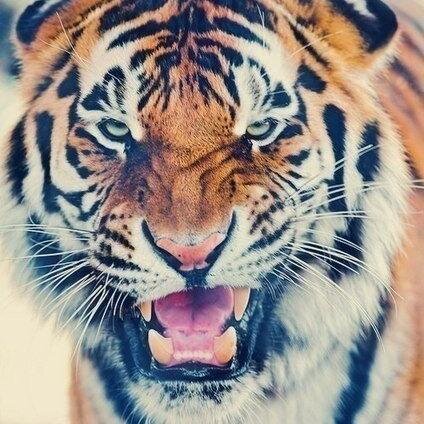 Smaaillee's profile picture. 