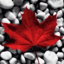 Amber Fee - @AmbiFee - Twitter