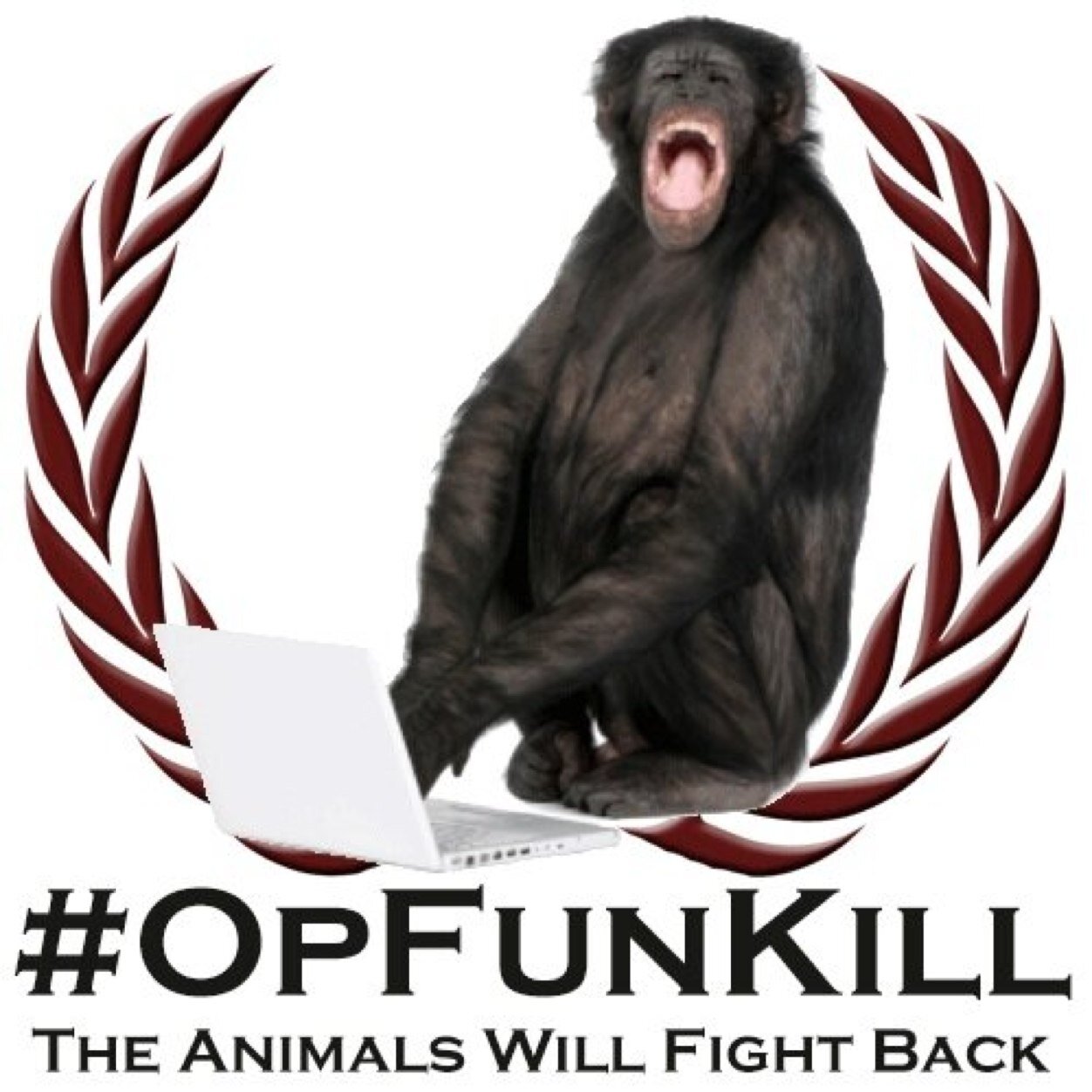 I mainly focus on #AnimalRights #OpKillingBay #OpFunKill #OpSochi #stoptrophyhunting #ShutTaijiDown #OpFreeArturo #Blackfish