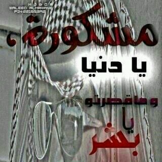 aaa12388721's profile picture. 