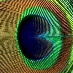 BeyondBodyHW's profile picture. Beyond Body Holistic Wellness Centre. Feed Your Body, Mind, and Spirit - Naturally!