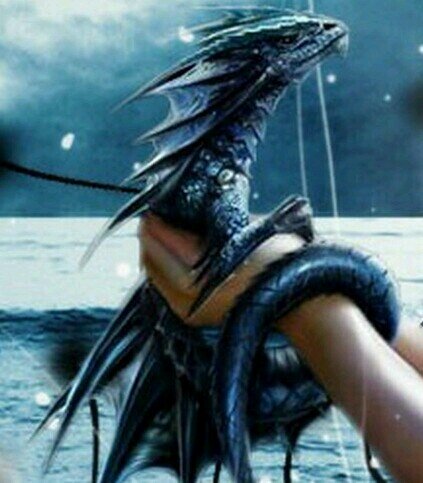 The small hatchling crawls up onto the damp rocks that stuck out from the shallow ocean edge. || Small dragon || RP || OC || Can be trained ||