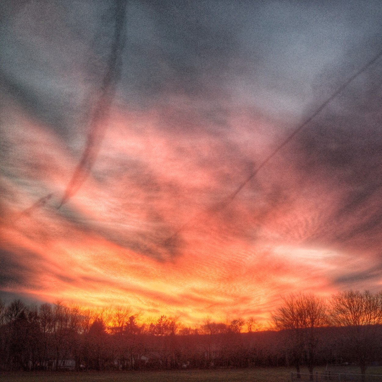 RMSftw's profile picture. 