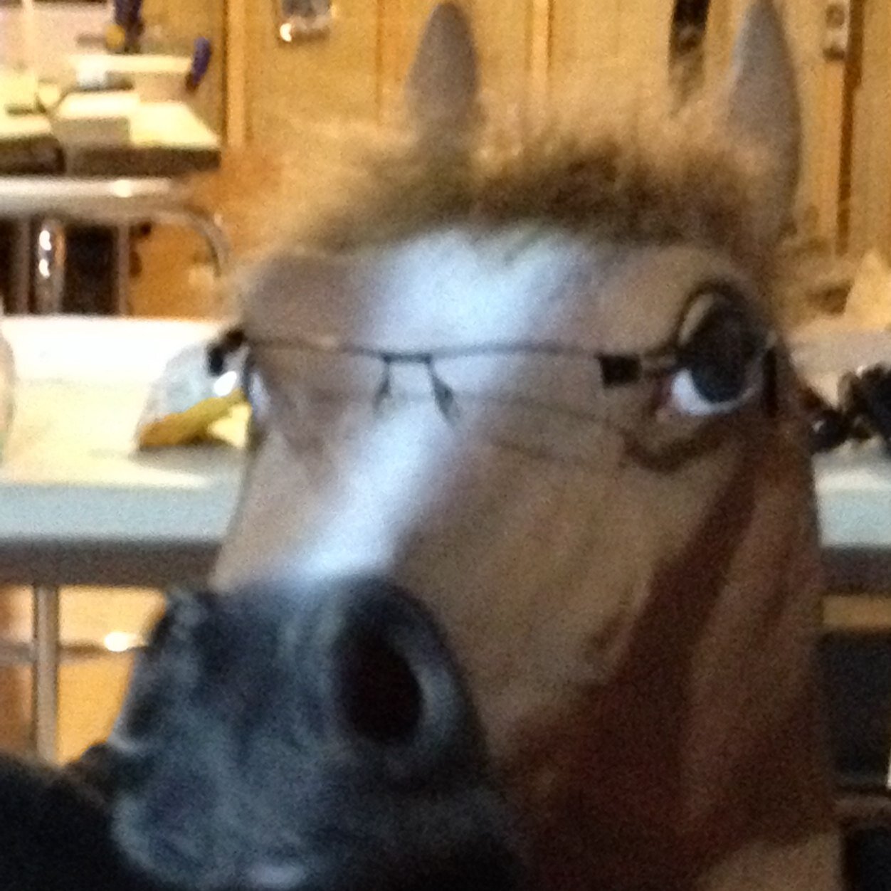 Getting back on the twitter horse