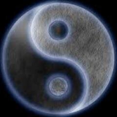 alexwang1000's profile picture. 