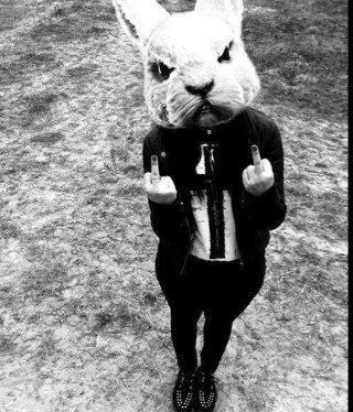 beans_co's profile picture. 